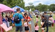 Hundreds attend Unplugged Festival in Lake Zurich sans phones