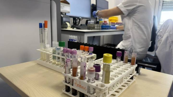 Un pueblo de Sevilla, en alerta por presencia de mosquitos con virus del Nilo occidental