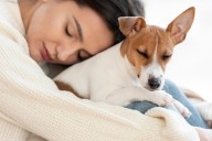 11 Simple Signs Your Dog Truly Feels Safe With You