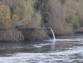 Tragedia en el río Pilmaiquén: dos desaparecidos durante ceremonia de sanación