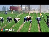 Florida Farmers To Trump: 'This Is Going To End Us'