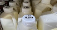 Mother sues Florida dairy farm, claiming she lost unborn baby after toddler got sick from drinking raw milk