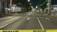 Fatal atropellamiento en León: Mujer muere tras ser embestida por auto blanco