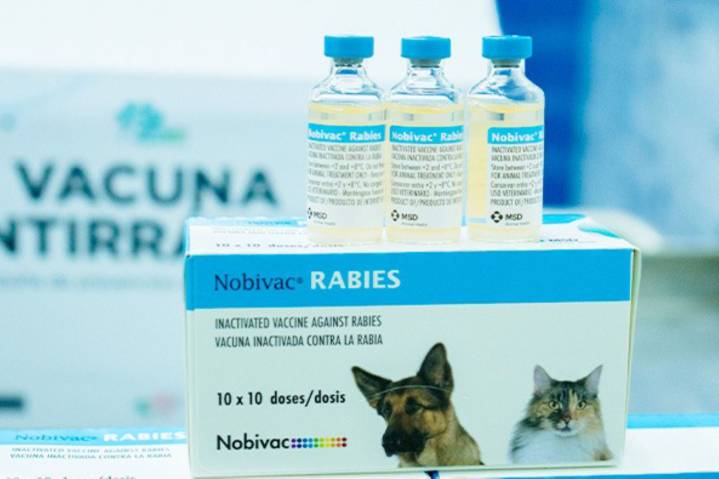 VanCan 2025: Minsa distribuirá 3.5 millones de dosis de vacuna en campaña nacional