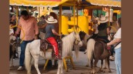 Denuncian maltrato animal en la Fenapo ante la Fiscalía General del Estado
