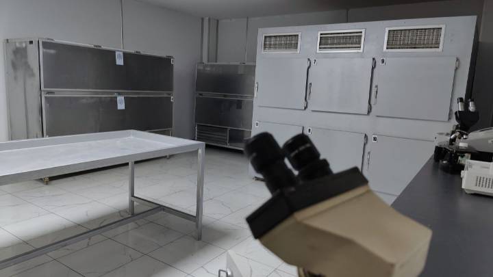 Escalofriante caso: mujer dueña de una funeraria guardaba oscuro secreto en su casa