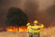Castilla y León, con 26 incendios activos, la mitad de ellos en nivel 2