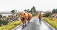 'I travelled to the Scottish island no one talks about and found something magical'