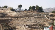 Ejército israelí arranca más de 3 mil olivos de una aldea palestina de Cisjordania y allana viviendas