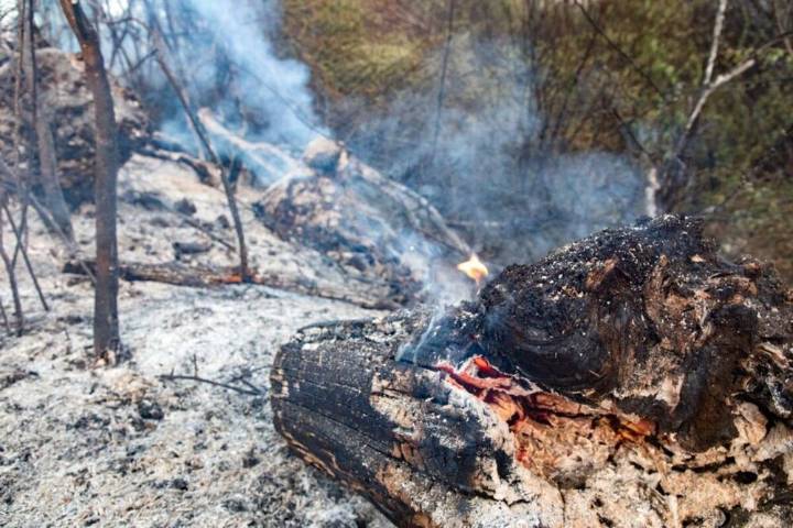 La UME se despliega por toda España para combatir los incendios