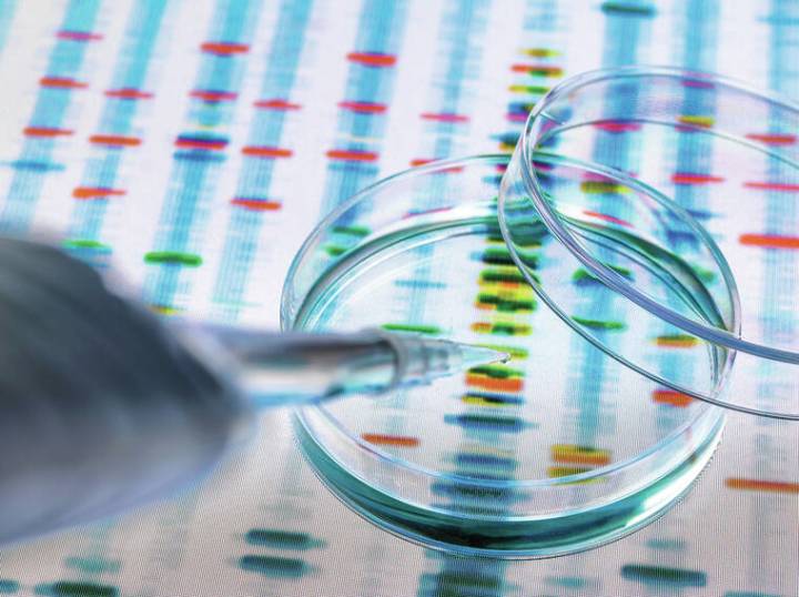 Scientists are learning to rewrite the code of life