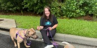 T.R.A.P.S: A local animal rescue group expands efforts to trap, advocate, and educate the community
