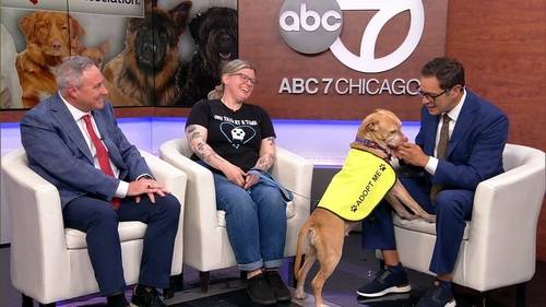 American Heart Association, One Tail at a Time talk health benefits of owning a dog