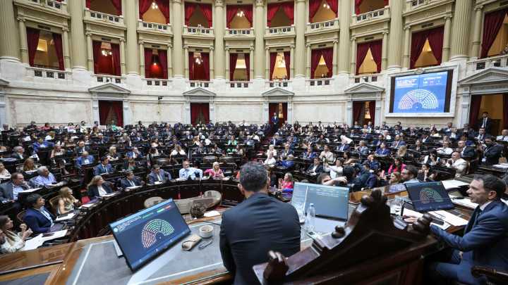 Cómo votó cada diputado el rechazo al veto a la ley de emergencia en discapacidad