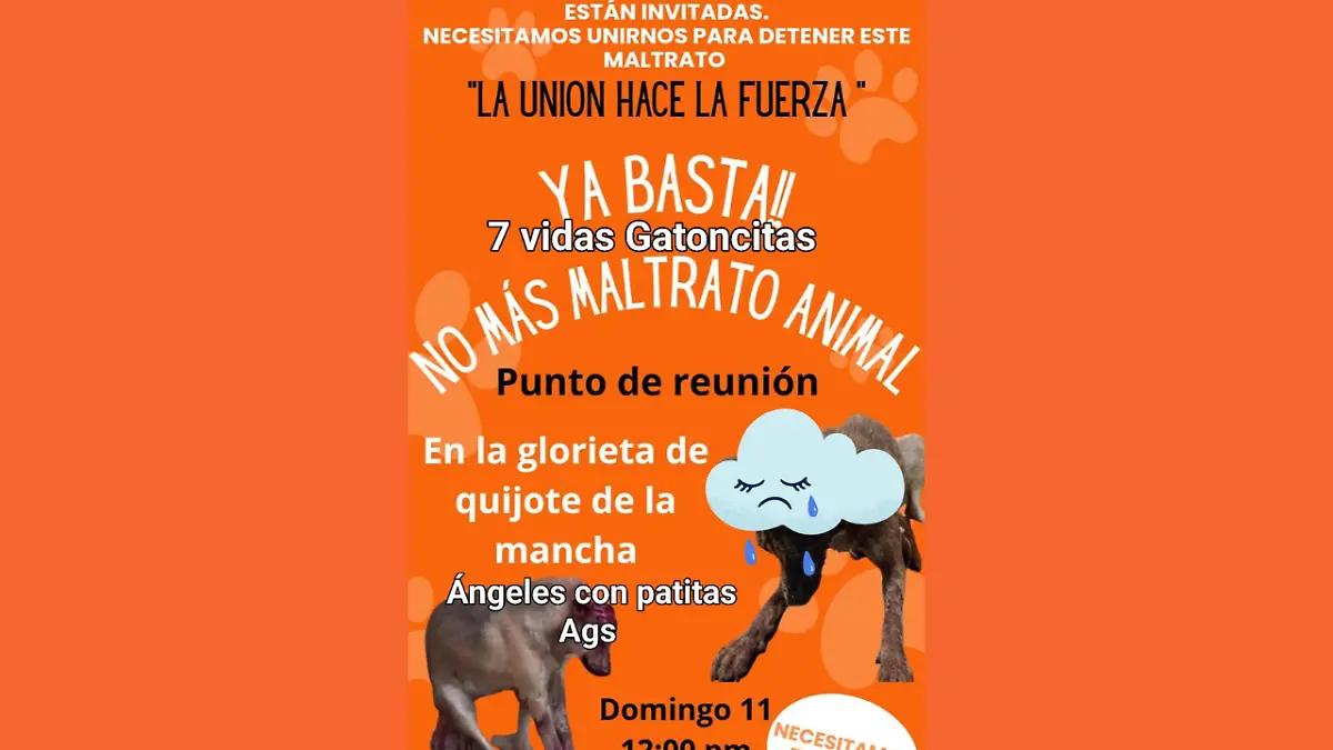 Convocan marcha pacífica para exigir justicia por “Loba” la perrita que fue brutalmente agredida con un hacha en Calvillo