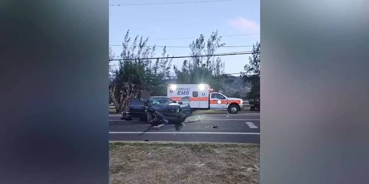 North Shore crash kills horse, seriously injures 3
