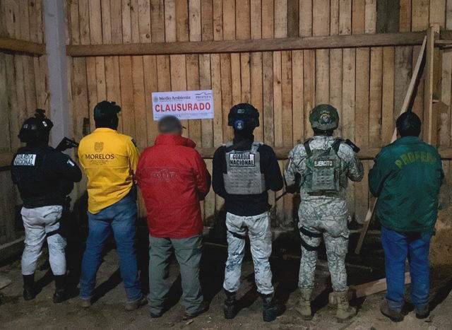 Profepa clausura y desmantela aserradero y asegura madera, maquinaria y vehículos en Huitzilac, Morelos