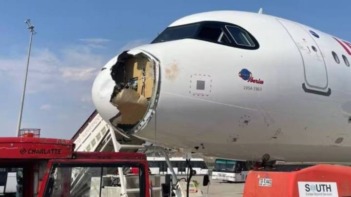Terror en el aire: un ave obligó a un avión a volver de urgencia a Madrid