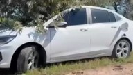 Identificaron a la pareja muerta en San Antonio de Areco: el hombre tenía denuncias por violencia de género