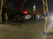 Adulto mayor muere atropellado en la avenida Tecnológico