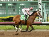 Ocho por la gloria en el Pacific Classic