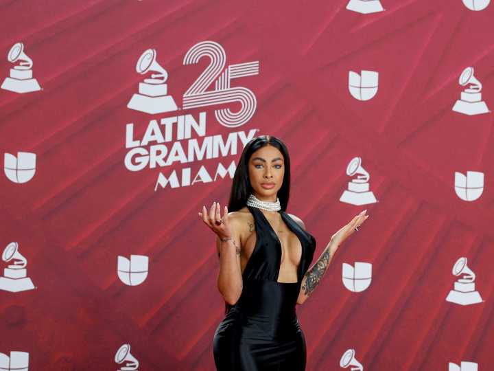 “Ya te rompí la boca”: por qué Yailin “la más viral” y la influencer Barbilla Roja terminaron a los golpes en plena calle