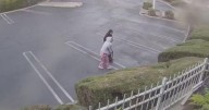 Surveillance video shows women abandoning crate of cats at Antioch shelter after hours