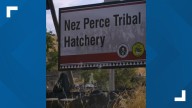 Health Secretary RFK Jr. visits Idaho Tribe, discusses food sovereignty