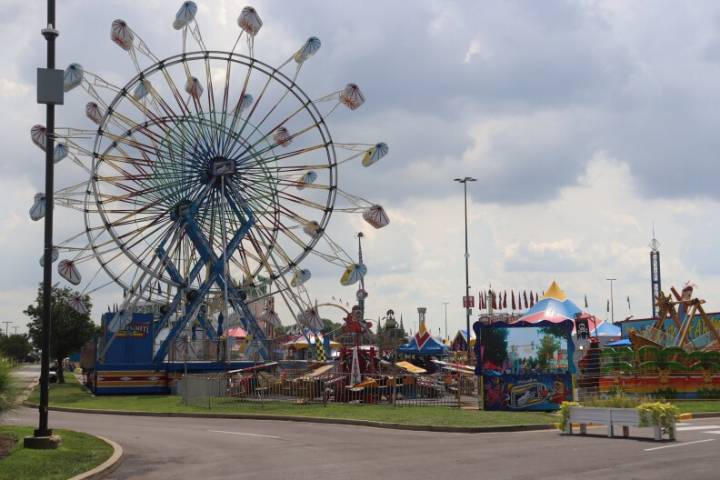 Pigs, cows, funnel cakes and carnival rides: It’s the 2025 Kentucky State Fair