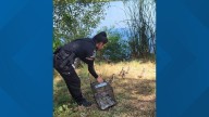 San Antonio crews rescue ACS officers and baby geese