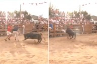 Tensión en vivo. Metieron a un periodista en una corrida para hacerle una broma y terminó embestido