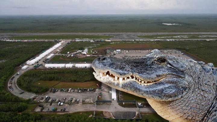 Ordenan cierre de Alligator Alcatraz, el centro de detención migratorio de Trump: jueza fija plazo de 60 días