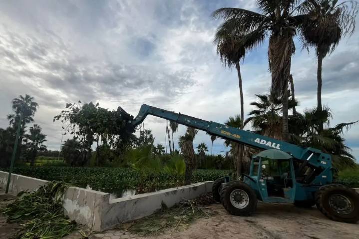 Entre lirio, la “Widoo choyera” lidera el rescate del Estero Josefino