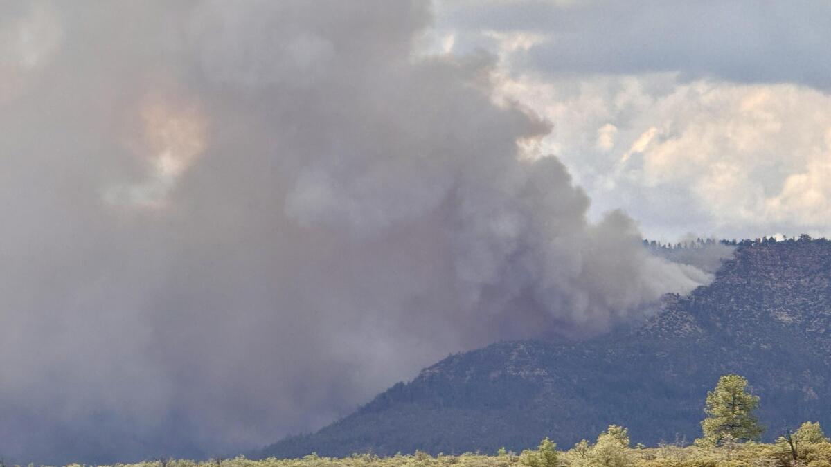 Gila County officials order evacuations for residents near wildfire along Mogollon Rim