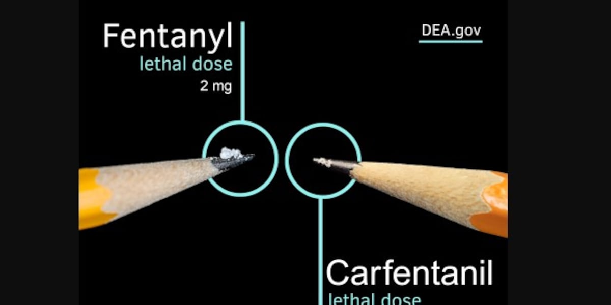 Feds accuse man of mailing 25 pounds of elephant tranquilizer to Alabama