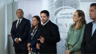 Partido Verde celebra suspensión del cuarto muelle en Cozumel
