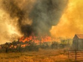 Cottonwood Peak Fire 40% contained at 132,685 acres