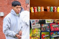 Long Island frees Guatemalan national Wilmer Castillo Garcia without bail after THC gummies middle school case