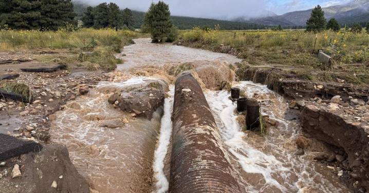 Mora County commission makes disaster declaration after flooding washed out roads