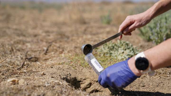 Valley fever cases rising in California, CDPH warns