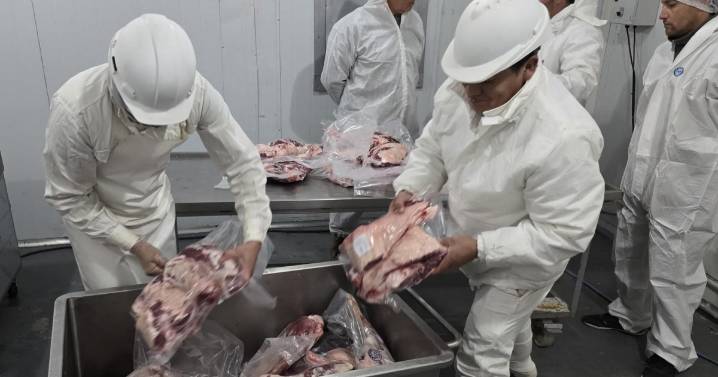 Paso clave en el matadero de Jacobacci para agregar valor a la producción de la Región Sur