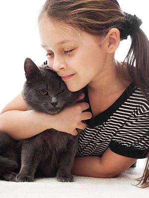 A calm companion full of personality