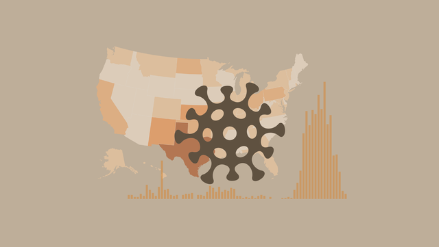Tracking measles outbreaks and cases in the US