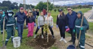 Bogotá recibió más de 250 árboles en el Día Interamericano de Calidad del Aire
