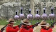 Trudeau Orders All Geese Rounded Up And Shot For Honking In Solidarity With Truckers