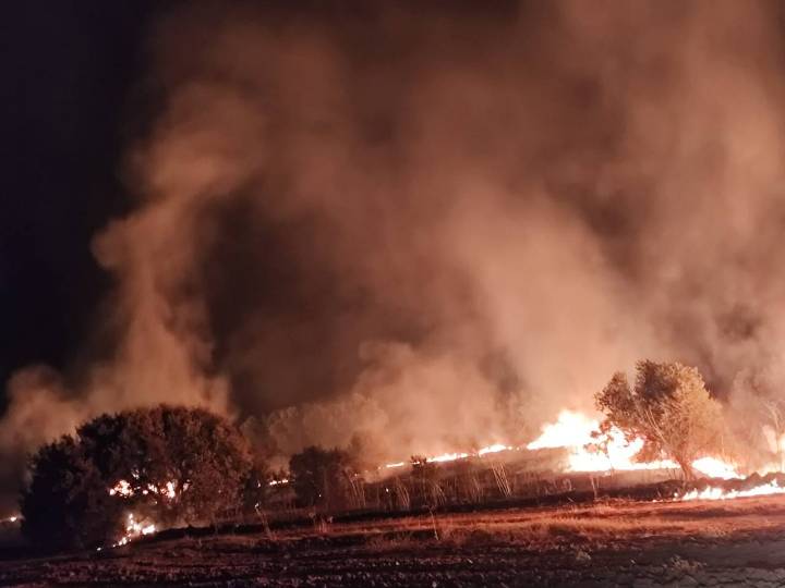 Tres incendios forestales simultáneos en El Casar de Escalona