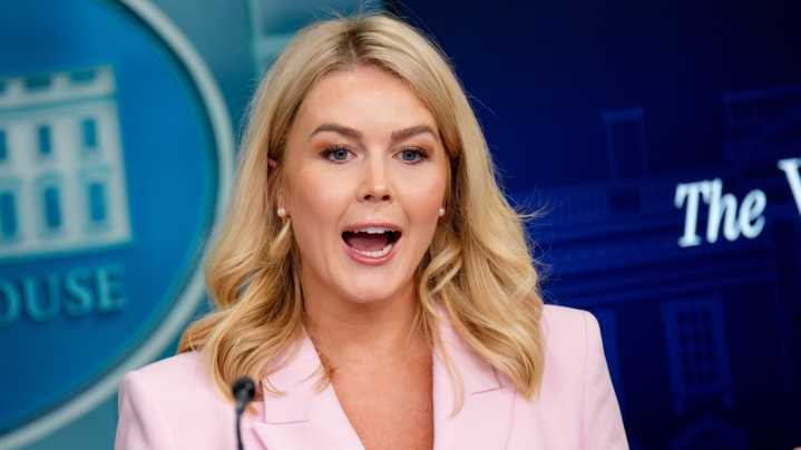 Karoline Leavitt's Look-Alike Mom Is Clearly Inspo For Her 'Politics In Pink' Barbie Style
