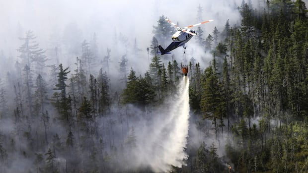 N.S. wildfire grows to nearly 2,000 hectares as ground crews fight to save homes