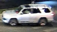 Chicago police seek car involved in deadly hit