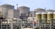 Nuclear Power Plant Taken Down by a ‘Massive’ Swarm of Jellyfish